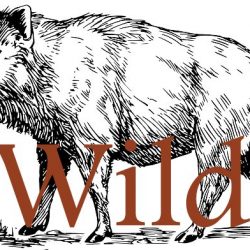 Wildschwein