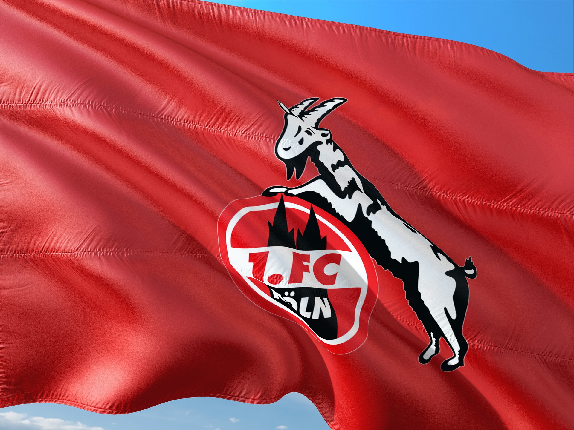 1.FC Köln Fahne Hennes